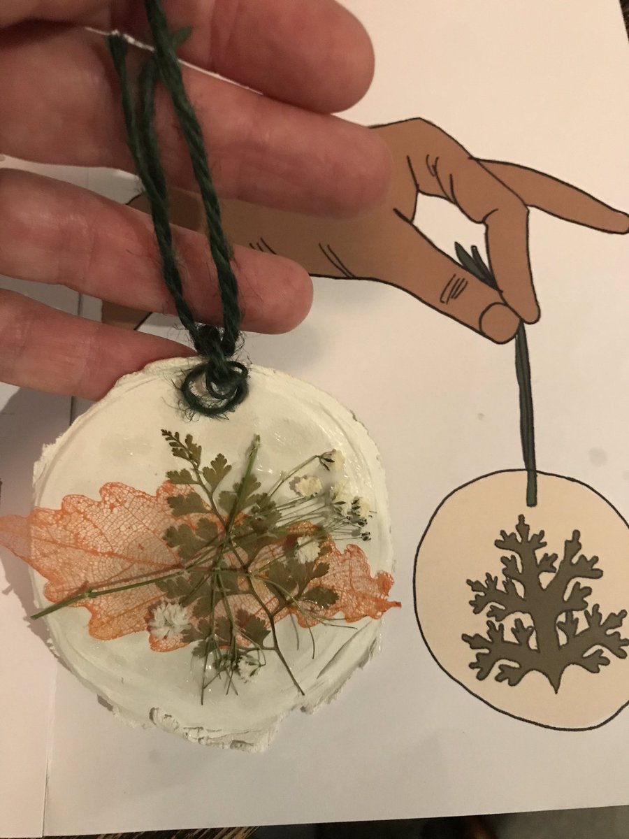 Susie Hall tweet media