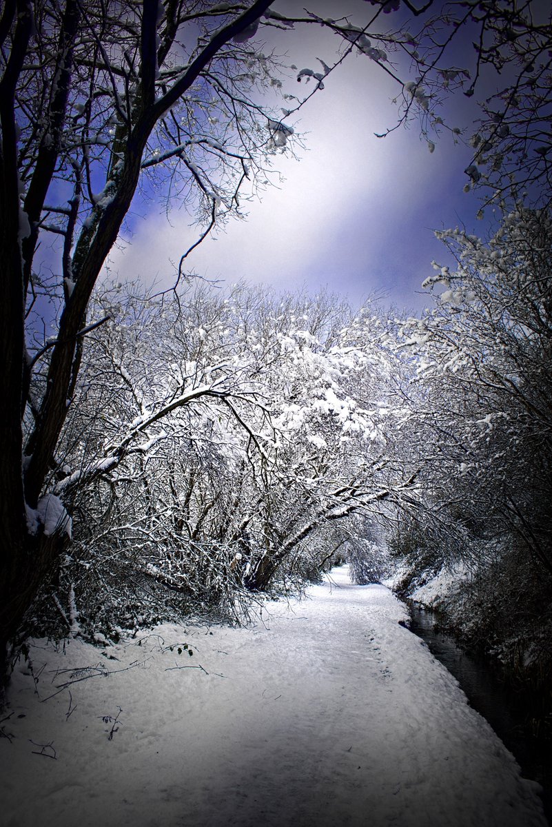 MarkHunterArts's tweet image. Winter is here, snow and cold everywhere. #Winter #Snow #Snowy #Harrogate #Yorkshire
