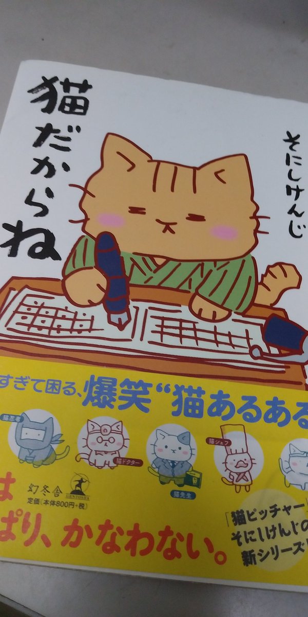 猫だからね 猫だからね