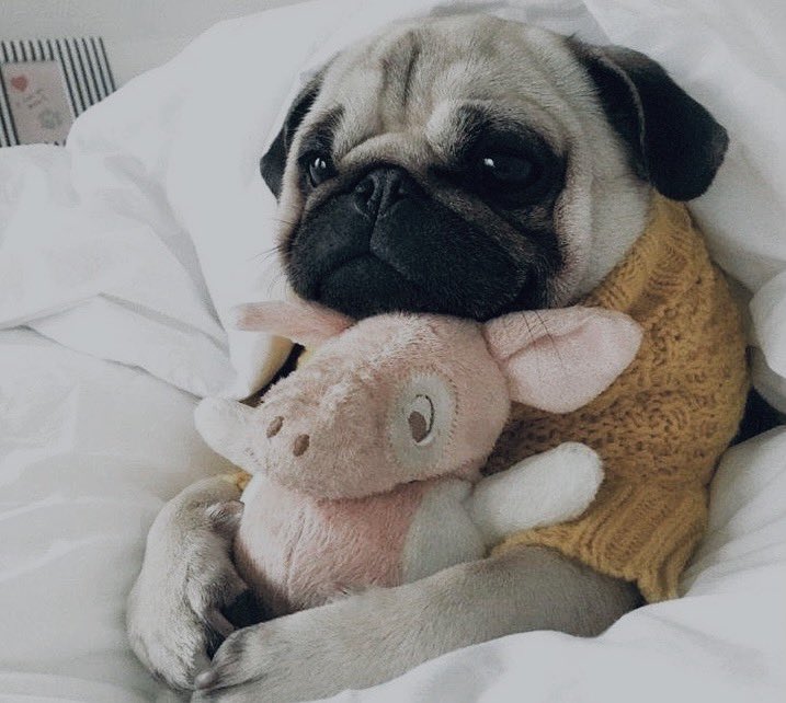 Before the trip/L ouis’ apartment Aesthetics