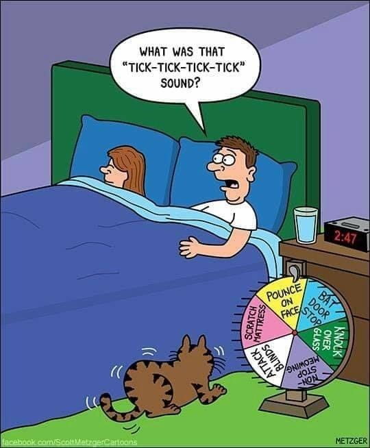 Bill McAllister (@wsmciv) on Twitter photo 