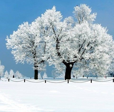 ulannsedaa1's tweet photo. İşte KAR⛄                İşte YÂR💖 https://t.co/7PLP13JHc3