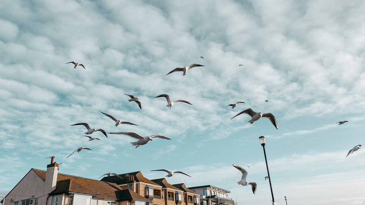 6. gün çekimlerinden İngiltere'deki Wirral Yarımadası'nın kuzeybatı köşesinde Dee Nehri'nin ağzında bir kasaba olan “West Kirby” de çekimler devam ediyor.