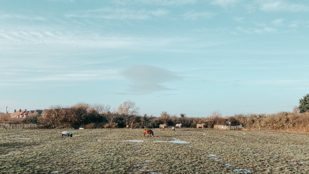 6. gün çekimlerinden İngiltere'deki Wirral Yarımadası'nın kuzeybatı köşesinde Dee Nehri'nin ağzında bir kasaba olan “West Kirby” de çekimler devam ediyor.