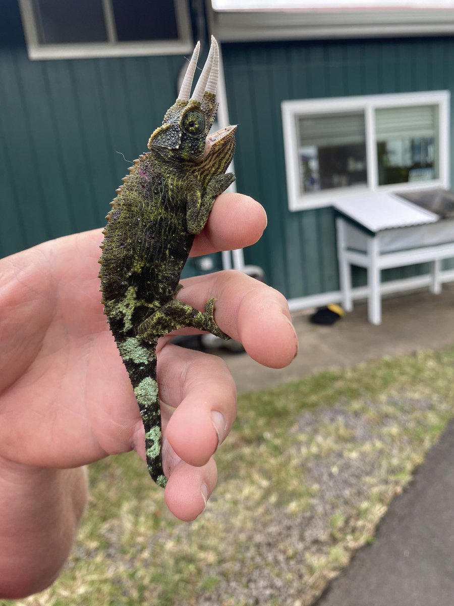 A little friend came to visit us today!