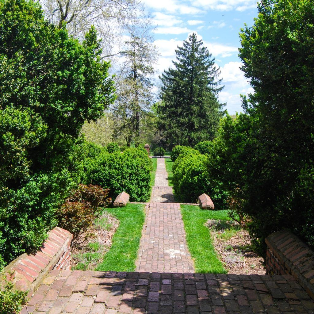 adlerstonefb's tweet image. Our Process of Helping You Find A Franchise | Adler Stone buff.ly/2UQn44w