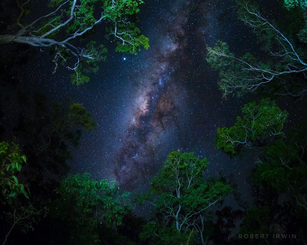 TerriIrwin's tweet image. .@RobertIrwin’s photo of the soulful night sky at the Steve Irwin Wildlife Reserve.