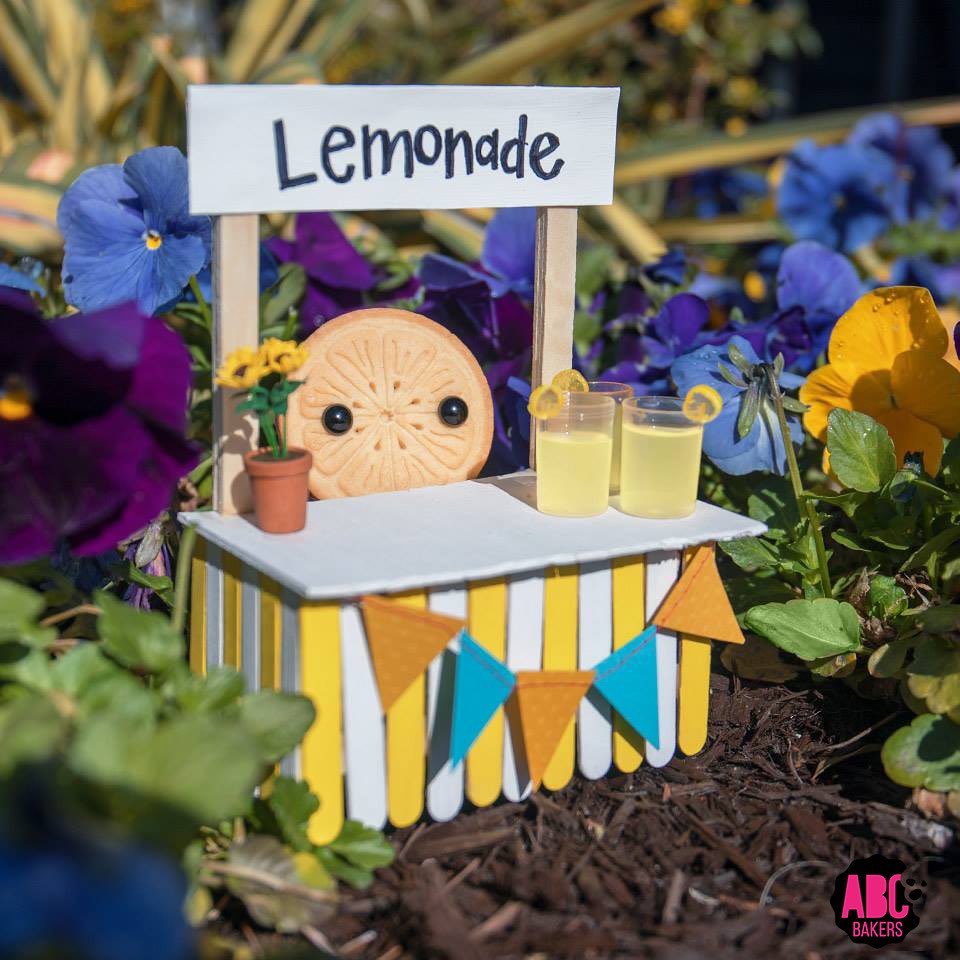 iamshan83's tweet photo. Saturday is the perfect day for lemonade 🍋! Place your orders today at: https://t.co/tN39st7wwt https://t.co/BMAgqERgOK