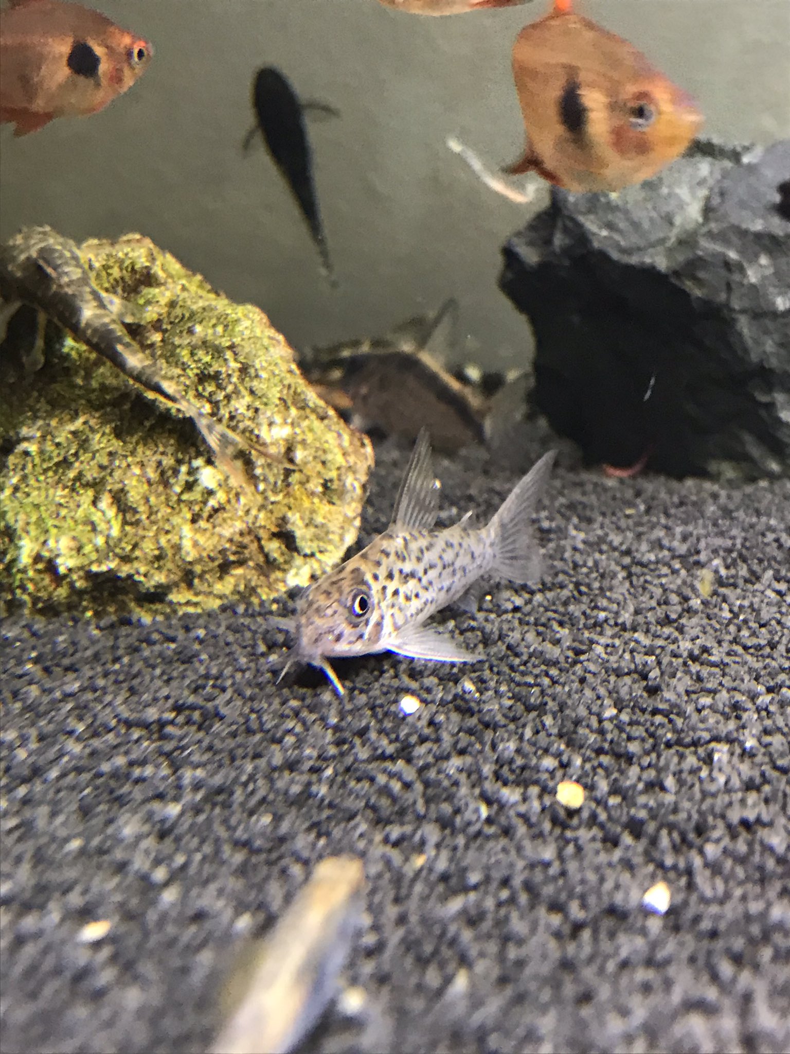 イチユーロ Qdgkfrf9icnxh2n Twitter