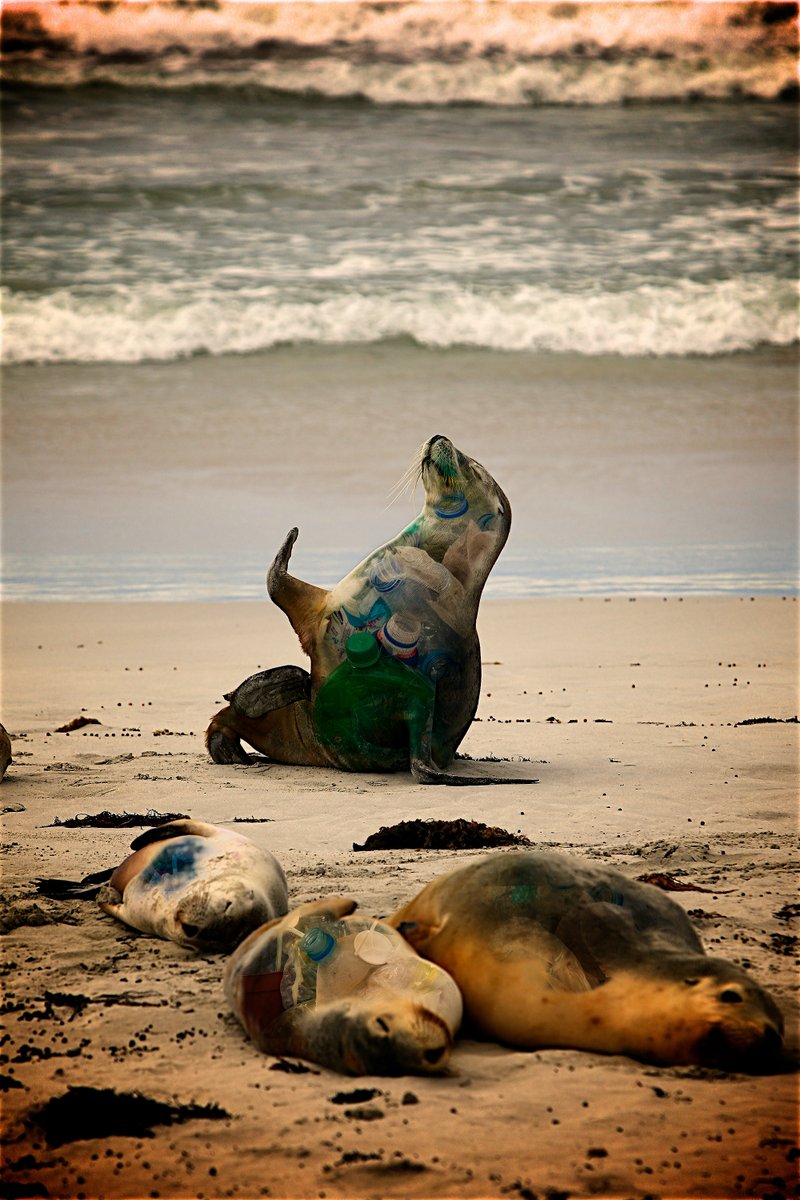 KevinFDesign's tweet image. 