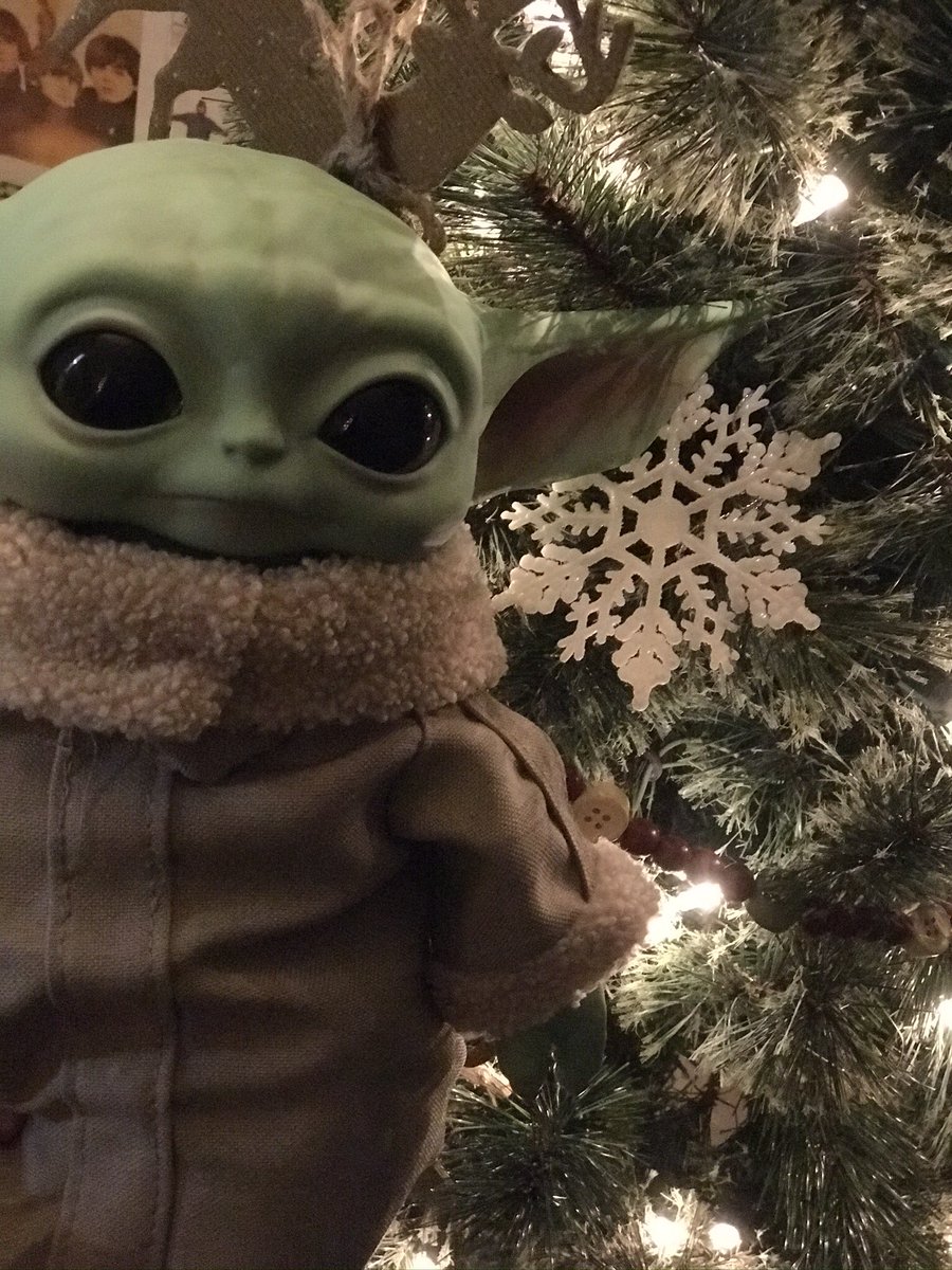 ckerwick2141's tweet photo. @HamillHimself @RobAnderson2018 @HamillHimself Hello from my new little buddy! Greetings from New Jersey! https://t.co/XxdNWOTS9C