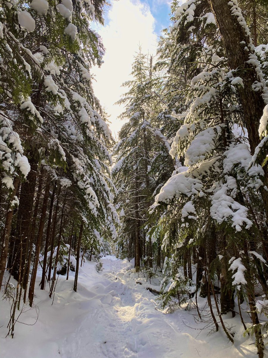hollyfiola's tweet photo. Winter hiking captures. Lonesome Lake NH https://t.co/Z8SCgndJWd