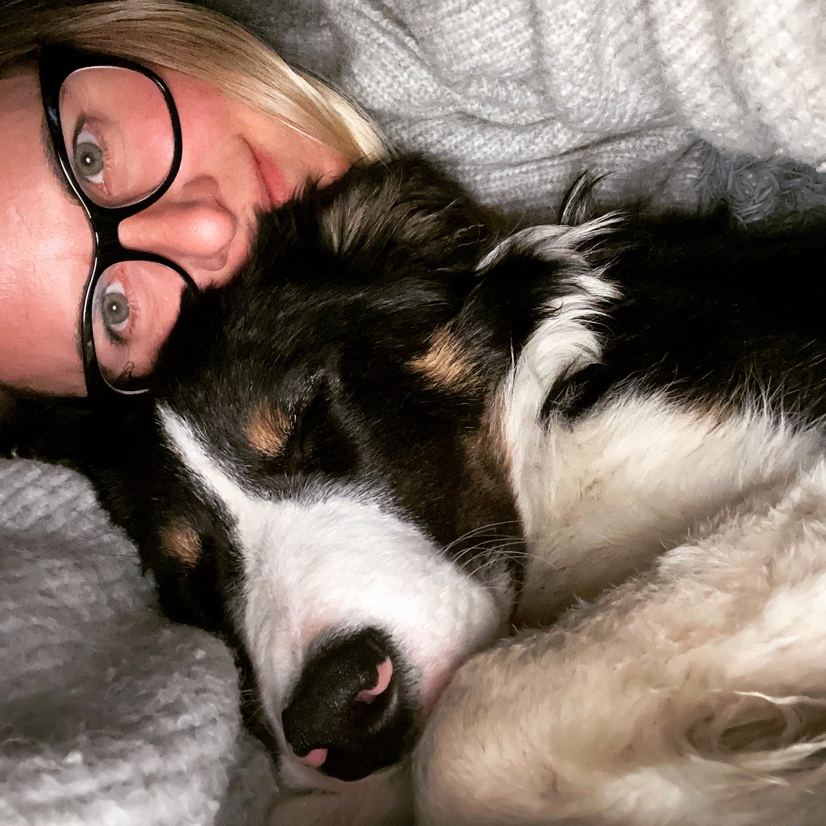 valpicher's tweet photo. Dogs just make life better #saturdaysnuggles #puppylife #cozywithLouis https://t.co/p5ypqxedxX
