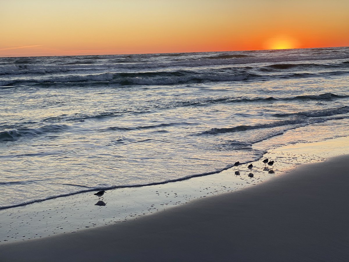 howeveralthough's tweet image. The perfect way to end a #saturday is a #sunset at #seagrovebeach #florida ❤️
#30a @spann