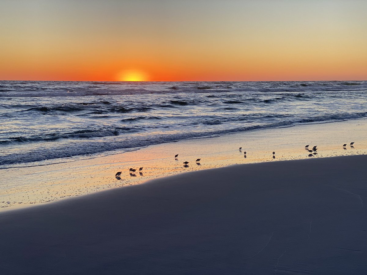 howeveralthough's tweet image. The perfect way to end a #saturday is a #sunset at #seagrovebeach #florida ❤️
#30a @spann
