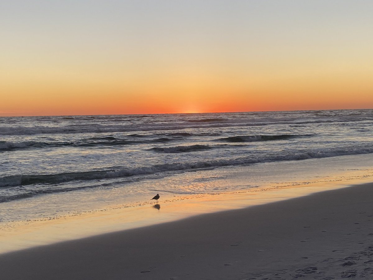 howeveralthough's tweet image. The perfect way to end a #saturday is a #sunset at #seagrovebeach #florida ❤️
#30a @spann