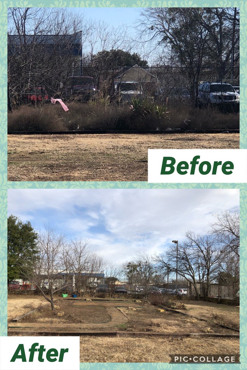 Brandi Romero tweet media