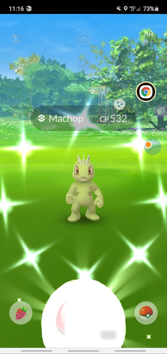 ShinyCrissy's tweet photo. Let's just say today was an amazing day for Pokémon GO! Can't believe I got that many XL candies today! 

#PokemonGO #PokemonGOCommunityDay #ShinyMachop #Hundo #PokemonGoXLs #HardGrind https://t.co/CnytLH4Qid