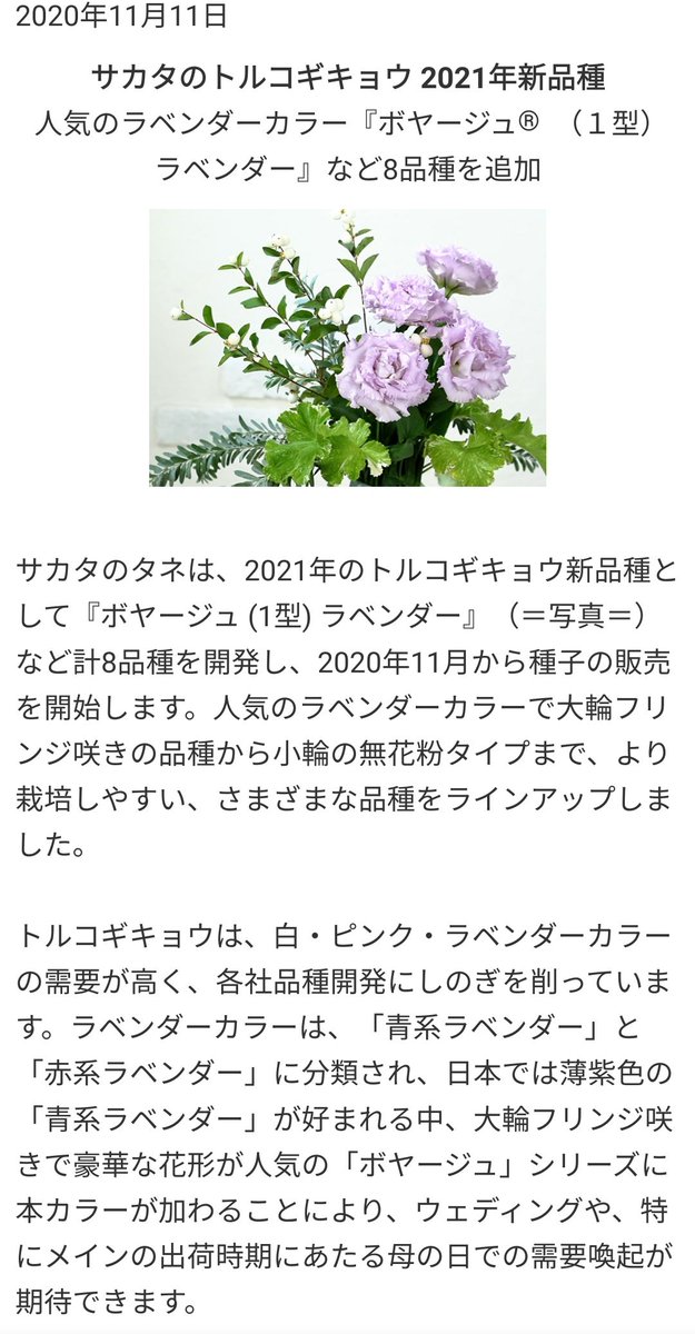 真鳥 青系で大輪の花というとトルコキキョウもありますが 品種改良が進んでいるとはいえあんなに青い 品種はまだなく まだまだ紫や薄紫と言ったところです 一応青いトルコキキョウの花言葉はあるようです 青色の色素を持たない場合 品種改良して紫色の 真鳥 青系で大輪の花というとトルコキキョウもありますが 品種改良が進んでいるとはいえあんなに青い 品種はまだなく まだまだ紫や薄紫と言ったところです 一応青いトルコキキョウの花言葉はあるようです 青色の色素を持たない場合 品種改良して紫色の