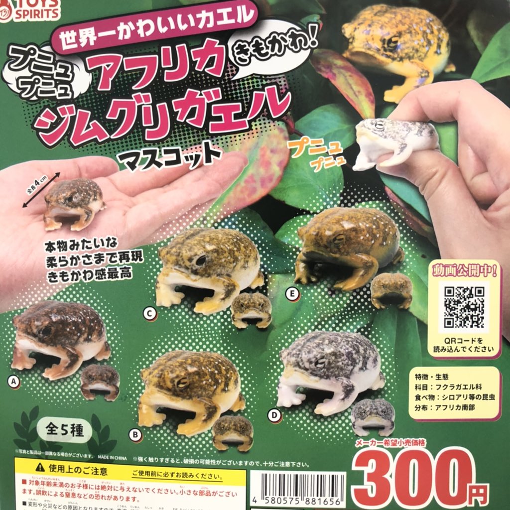 ドリームカプセルアクアウォーク大垣 1 16 土 完売のお知らせ 世界一かわいいカエル アフリカジムグリガエルマスコット お薬と救急箱 こちらの商品は完売致しました ありがとうございました ドリームカプセル アクア ドリームカプセルアクアウォーク大垣 1 16 土 完売のお知らせ 世界一かわいいカエル アフリカジムグリガエルマスコット お薬と救急箱 こちらの商品は完売致しました ありがとうございました ドリームカプセル アクア
