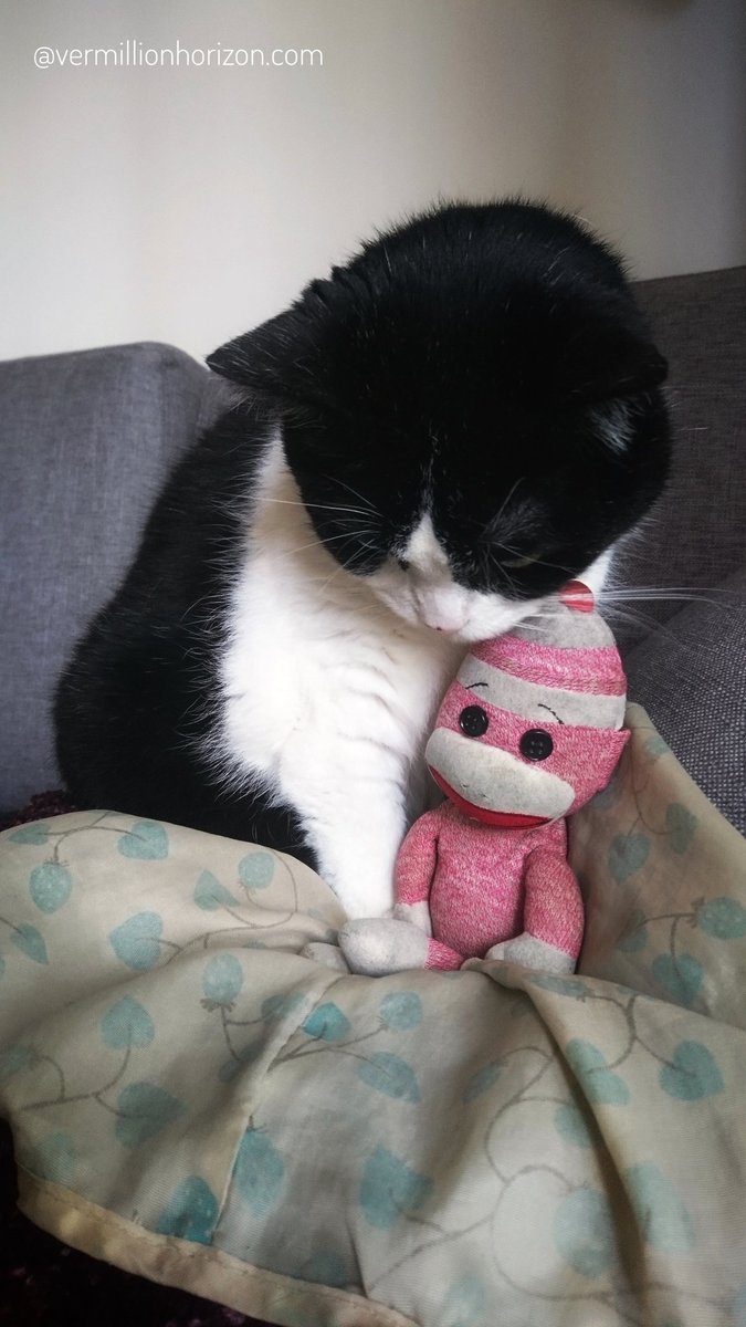 LilSquirtMonkey's tweet photo. Missing the big boss! Dear Tama passed away on New Year's Day at age 16. Things aren't the same without her! (Shanghai, China)

#Shanghai #China #ExcellentCat #CatsOfShanghai #Farewell #GoneButNotForgotten #ぬい撮り #SockMonkey #BigAdventures #FineFamilyAndFriends #上海 #中国 #猫 https://t.co/XFHEc515Y3