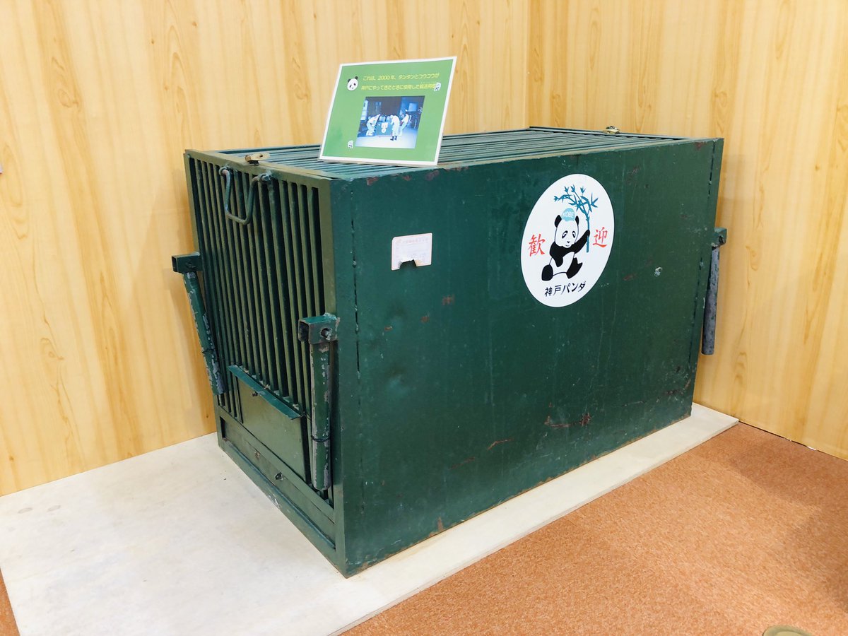 ちーじー🐼🌼 (@mutasokj) / Posts / X