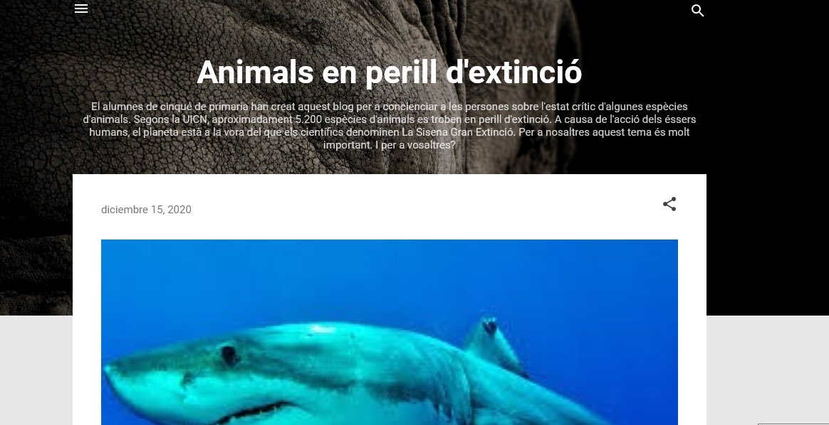 MUrendez's tweet photo. Projecte “Animals en perill d’extinció” en 5é de primària.💻🎥 Ni t’imagines quants animals que coneixes estan en perill d’extinció. 🐻🦁🐼🐨🐘 🦍... Si vols saber més, entra en el nostre blog ⬇️
https://t.co/K7Xaovpzzk @ladevesaschoolelche @gruposorolla https://t.co/mHHSdEY367