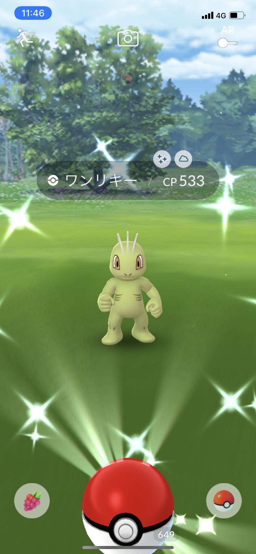 Yuno1984jp ポケモンgo 昨日のワンリキーのコミュデイ お疲れ様でした Xlアメ が欲しくて バシバシ捕獲に回って 色違いは35体 Xlアメも500近く確保 おかげで 去年末に生まれた100 をカンストしてみました 果たして しっぺ返しに実用性があるのか