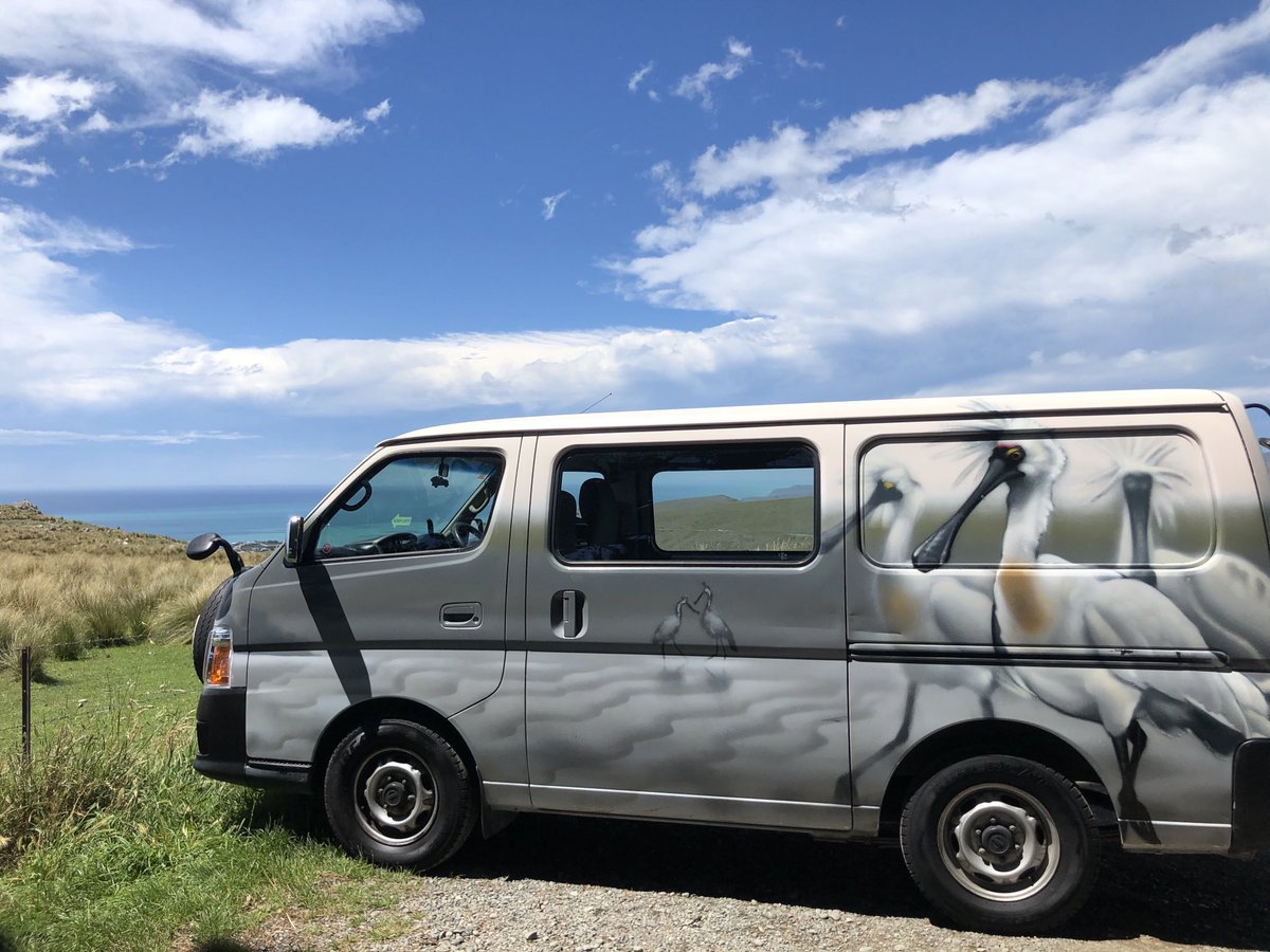 iScamper's tweet photo. #escaperentalsnz saw this beauty in its natural habitat today - ka rawe! https://t.co/rWNlnDjFj7