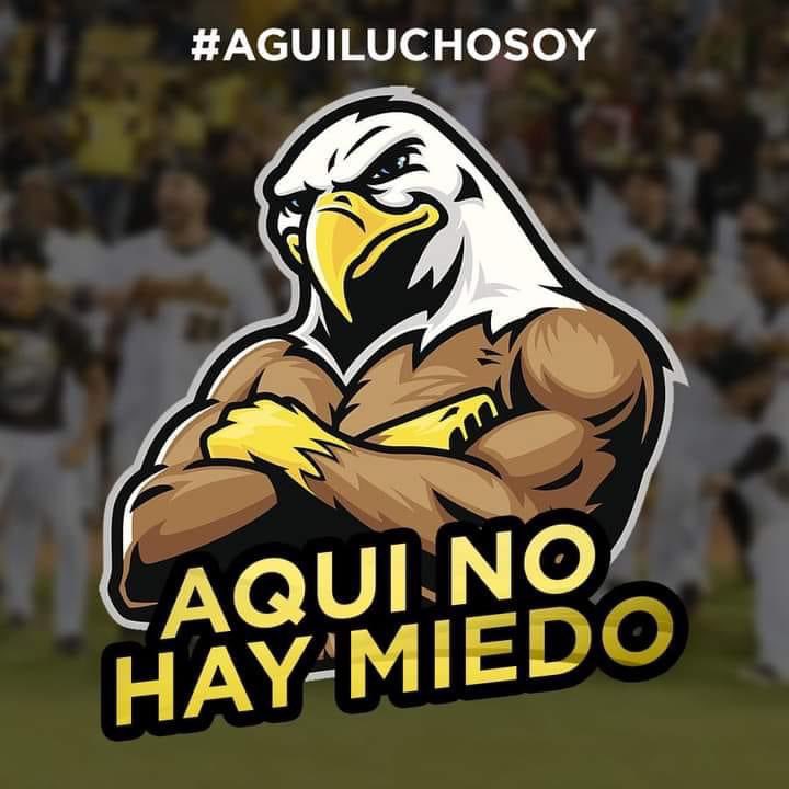 GABBY LA MAS! tweet media