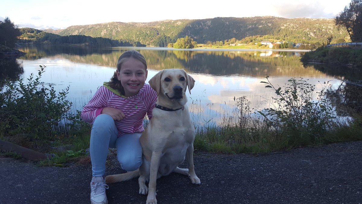 johnny reiestad (@johnnyreiestad) on Twitter photo 