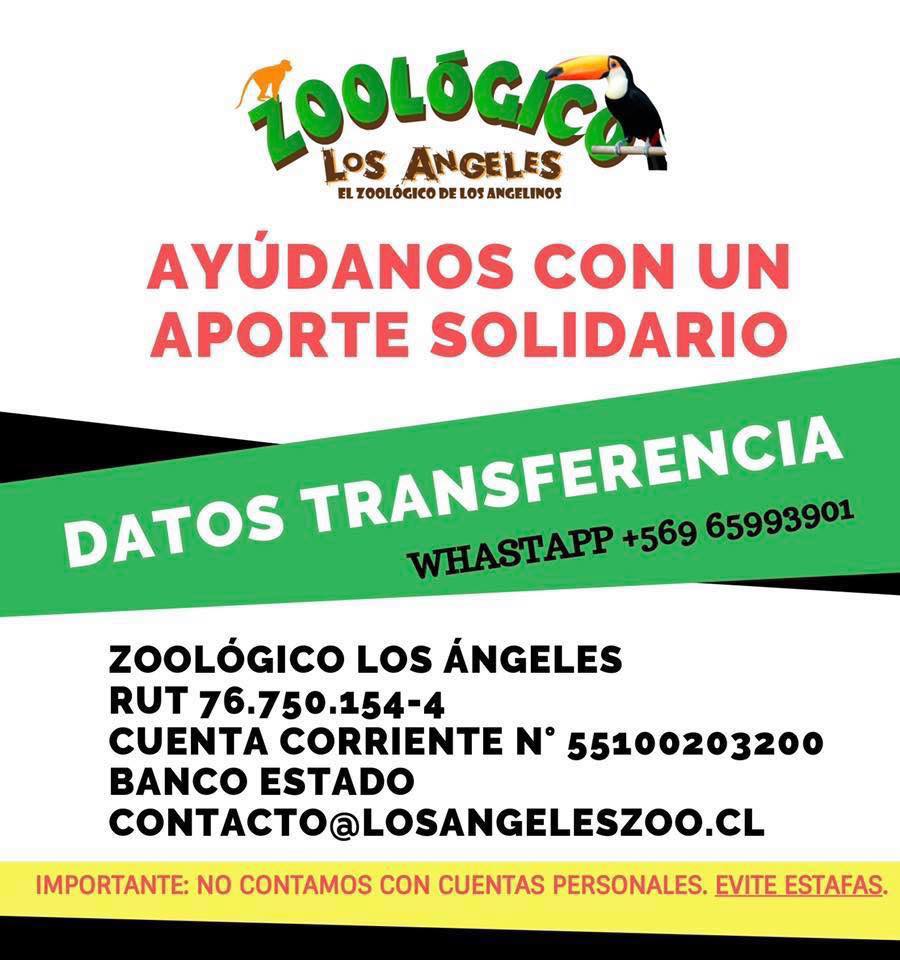 soledadcanalesrojas (@soleisocaro) on Twitter photo 