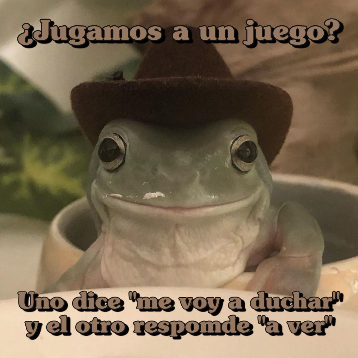 memes4love1's tweet photo. 🐸 🤠 https://t.co/8PvwztapSi