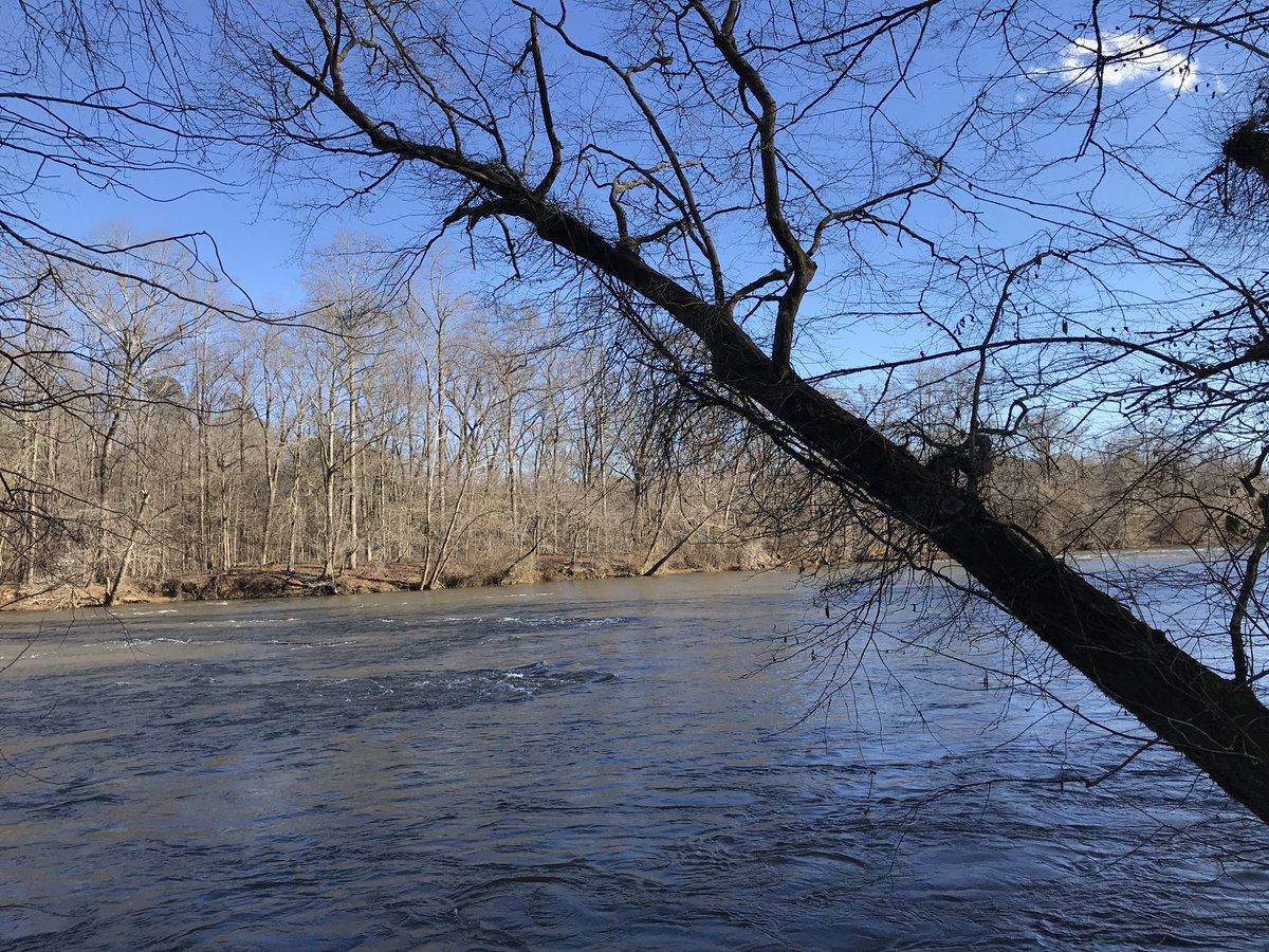coleenlou1's tweet image. Saw these #winter #trees down by the river and thought it’s funny how they are kind of like people..some still standing, some on their way down, some have given up. Which tree are you? #LessonsFromNature #ThePhotoHour #StormHour @LensAreLive
