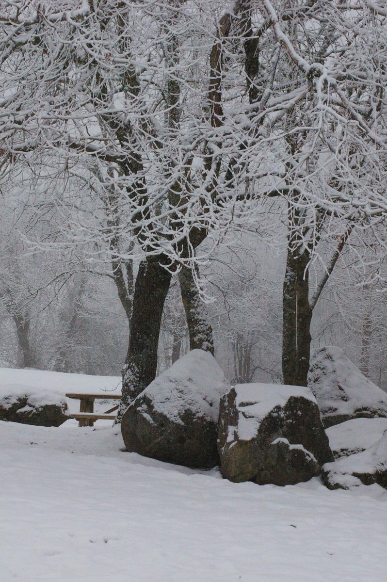 Elofangreg's tweet photo. #paysage #neige #photography #photo #photographer #photoshoot #Photographie #soleil #NaturePhotography #PhotosOfMyLife #photographyislife #mountains #montagne #Auvergne #paysageauvergnat #myauvergne #pierre #arbre #tablepicnic https://t.co/8OIC1QUL5p
