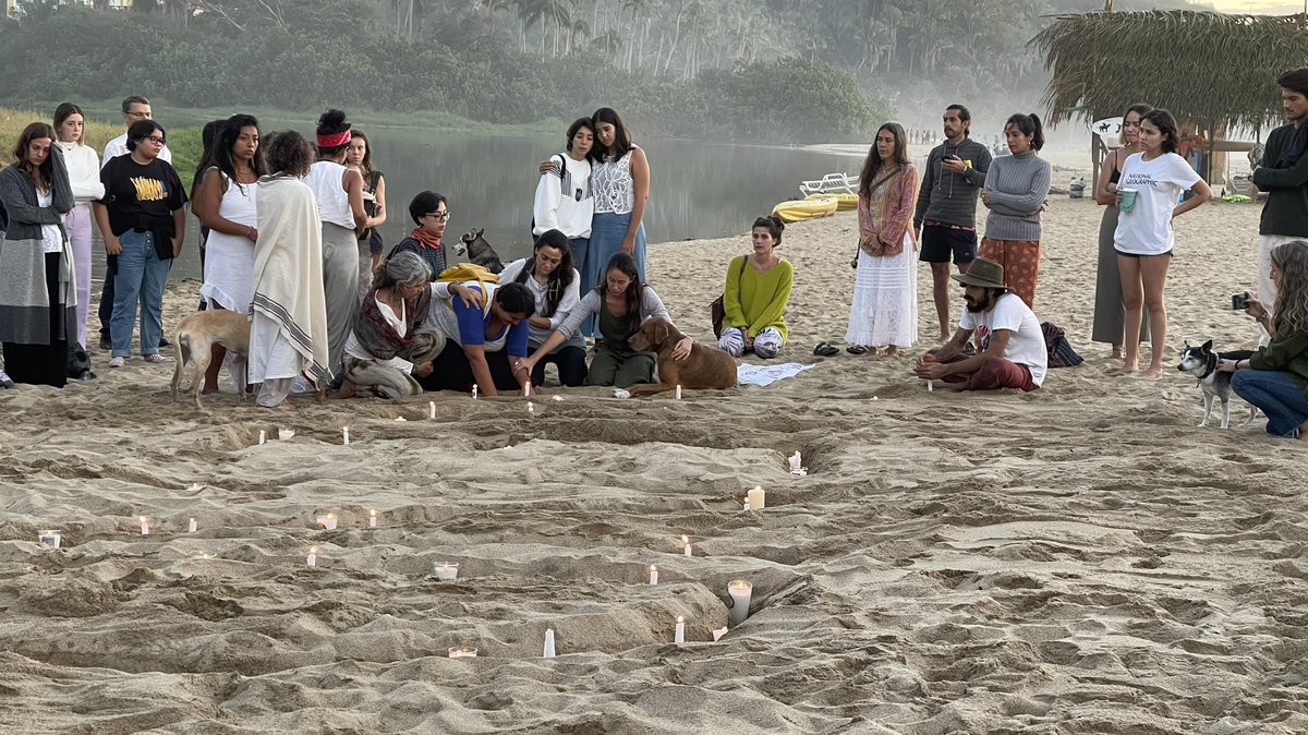 Sandra Hernández tweet media