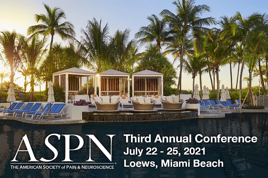 July 22-25, 2021
Loews, Miami Beach
Moderators:
Timothy Deer, MD
Dawood Sayed, MD
Erika Petersen, MD, FAANS, FACS

Cutting edge updates and discussion on topics in pain and neuroscience

Continuing the ASPN innovative debates platform to include lively discussion and debates