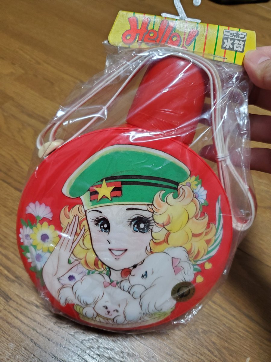 野々村愛里 در توییتر 細川智栄子先生イラストの水筒 幼稚園の時 同型のものを使用してましたが これは未開封です 昔の水筒はみんなこんなだったよね