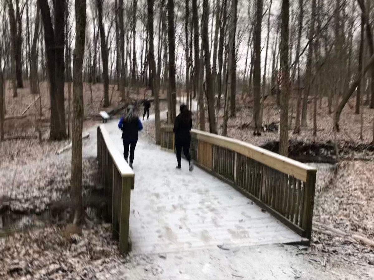 RunnerBill's tweet photo. A little trail running this morning after a very light snowfall. #MacGregorPark #Westfield https://t.co/gHcaN3seft