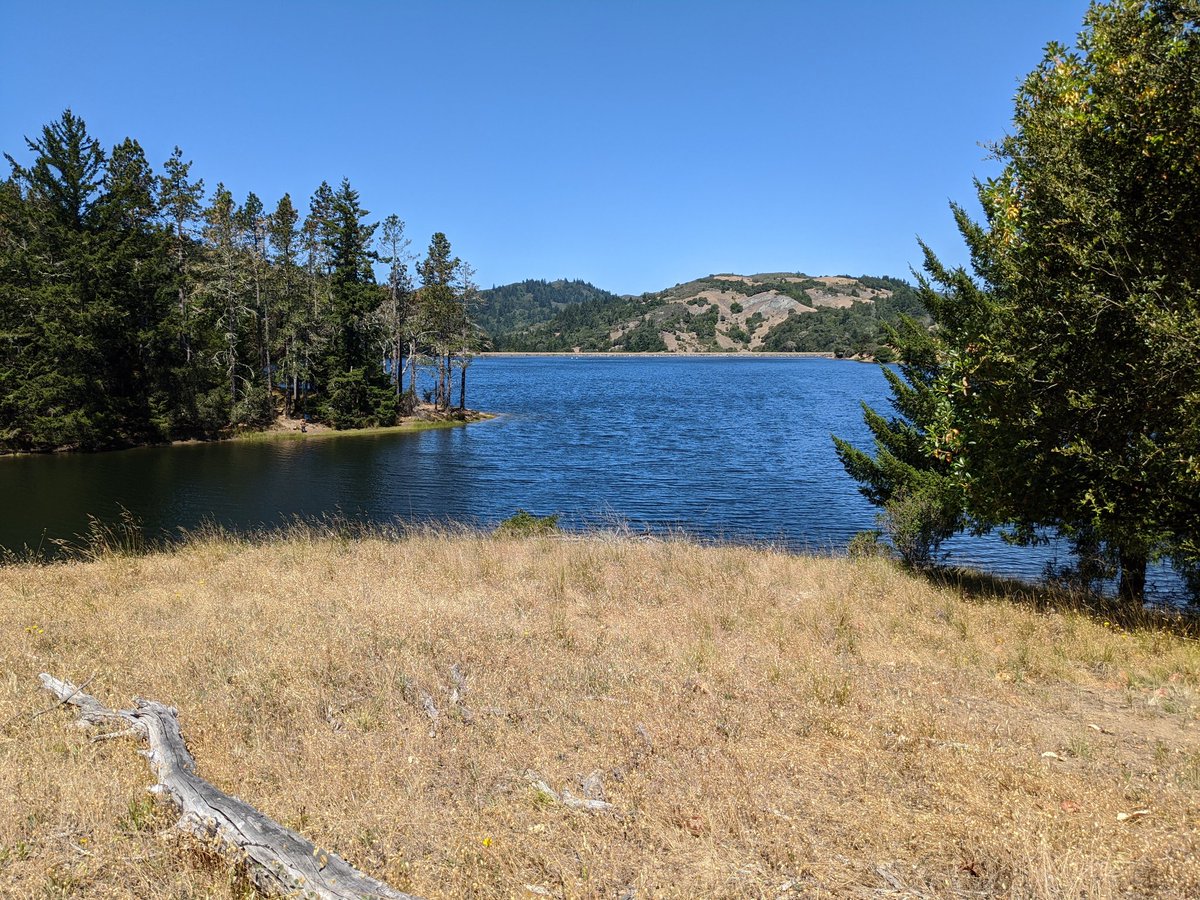 Michael Calore tweet media