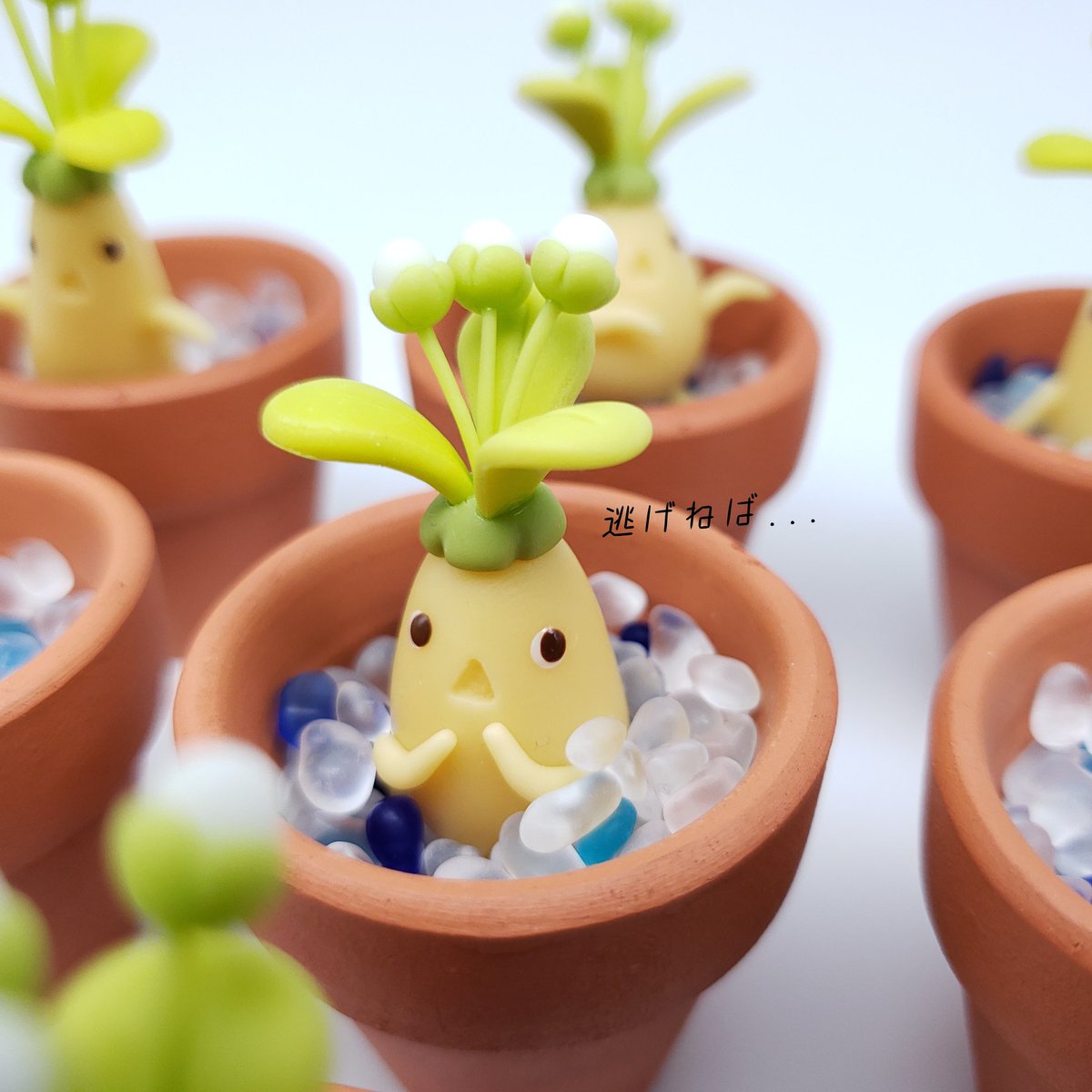 マンドラゴラ Hotワード