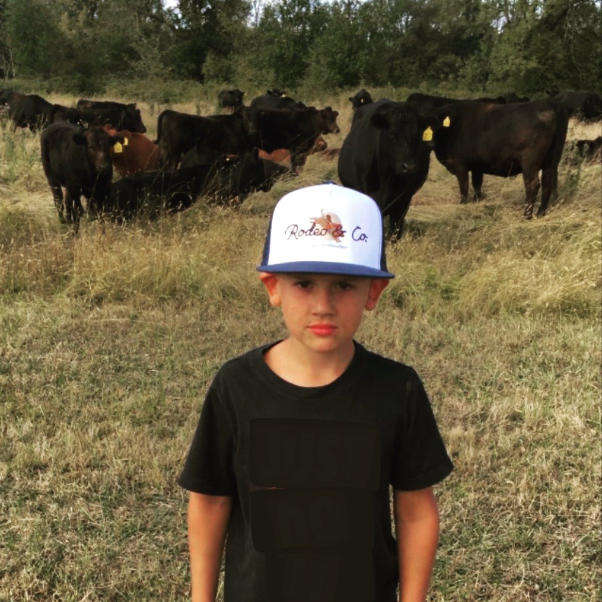rodeoandco's tweet photo. https://t.co/Sn9v2Q6748 https://t.co/JuCHbAGaLR