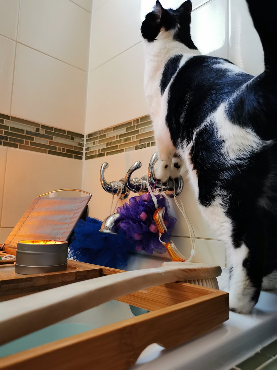 MarlianaTate's tweet photo. All of my #bathtimes include my cat #pigletthegreat , goggles because - you never know - and candles. I'm so ready!! #yyc #weekendvibes https://t.co/U64Lfm165q