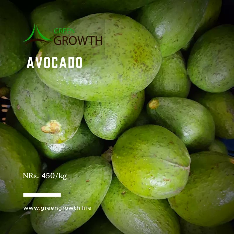 KARESAorg's tweet photo. We have #groundapple and few new restock of #greentea, #sweetorange #avocado #ghee and #timurchhop #sechuanpepper #seasoning powder is new products available for this week.
...
You can order at https://t.co/wgdWfH5zIc
...
#Localfood #localspice #takingorder #weeklybasket https://t.co/jsflVROIrd