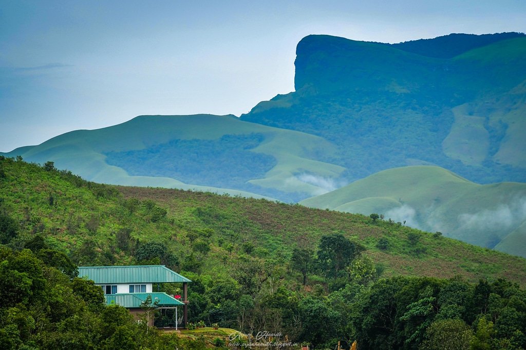 kudremukh_wild's tweet photo. Kudremukh (In Kannada Face of the Horse). It seems one of the peaks in the Sahyadri range is of the shape of the ‘Chess Knight’. Kudremukh is Karnataka’s 2nd highest peak and for over 2000years sailors on the Arabian Sea were said to have used this  peak as a well-known landmark. https://t.co/vAVTTaag40