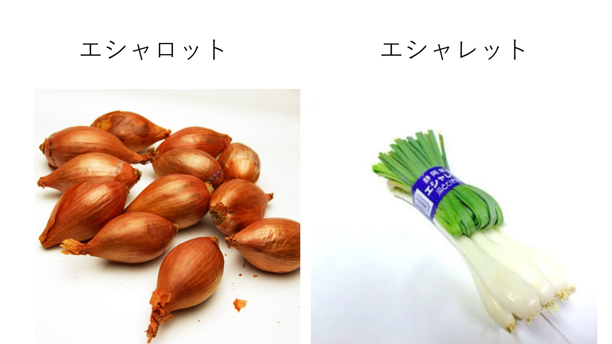 株式会社ジェイ イシカワ エシャロットとエシャレットは別物です 簡単に言うと 玉ねぎとラッキョウです このあたりの買物を頼まれた時は間違えないようにしましょう T Co Zcnuymxmu3 Twitter