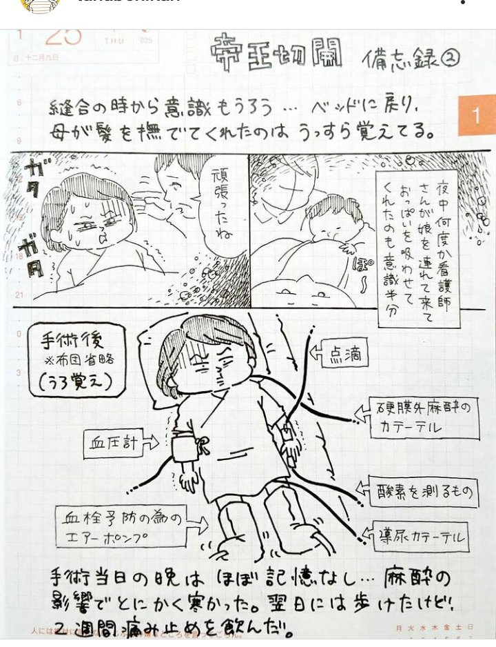 三年前にインスタにpostした絵日記。
緊急帝王切開でした。だからなのか(?)BGMは安室ちゃんでした。
お陰でbody feeds exitを聴くと当時を思い出して涙ぐむ身体になってしまった。
#正直出産ってどうだったか教えて 