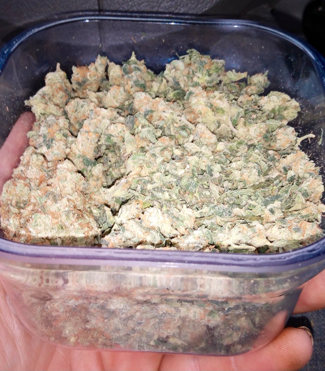 travisa850's tweet photo. I love a good sativa. #HomeGrown #OnDeck #NoNamer https://t.co/CvvJqvPmkz