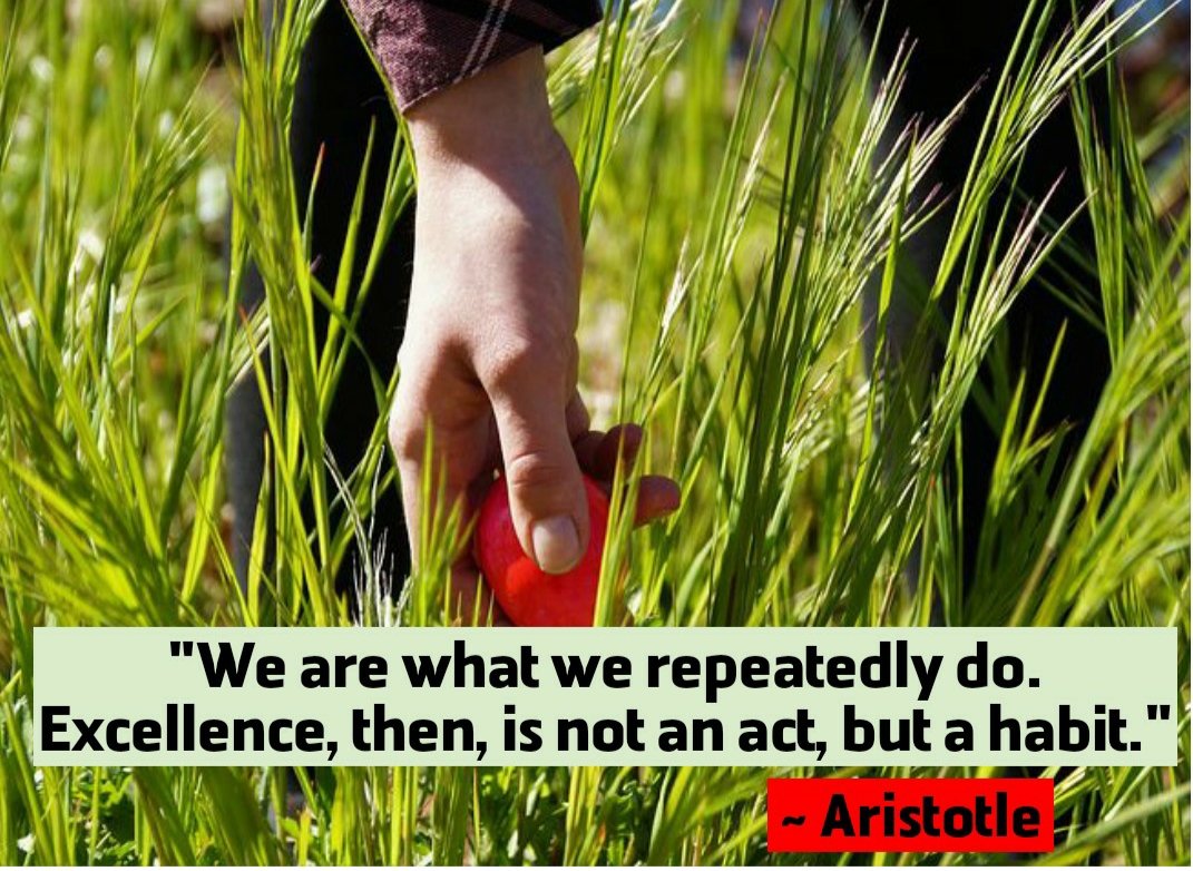 kuajayverma's tweet photo. "We are what we repeatedly do. Excellence, then, is not an act, but a habit."
~ Aristotle
https://t.co/gKSZgmrTrv
#inspirationalquotes #happiness #leadership #success #thankyou #inspiration #writeblog #one #morninginspiration #gratitude #culture #poweroflearning https://t.co/v2BVSviqIu