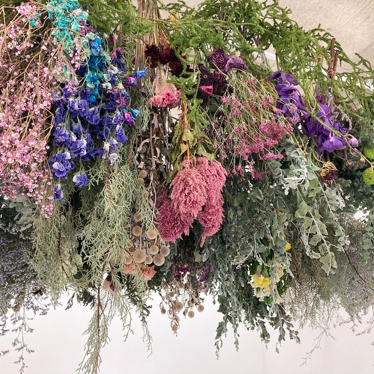 ROCKET__'s tweet photo. gui solo exhibition 「色を纏う花展」

”フラワーロス”をテーマにした展示会、本日が最終日となります。
18:00までのオープンです🌷

色とりどりのお花で彩られた会場をお楽しみいただけるのも本日まで。
guiさんのフラワーロスへの思いがつまった本展、最終日の本日もご来場お待ちしております🦢💐 https://t.co/TvpRdHifRh